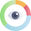 vision